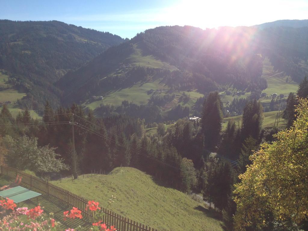 Bauernhof Bachgut Villa Mühlbach am Hochkönig Cameră foto